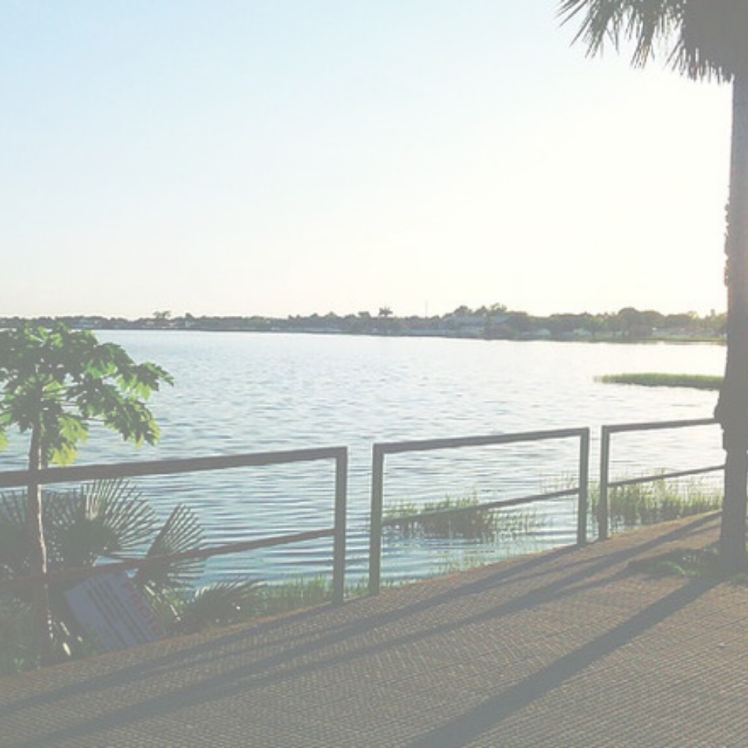 STJ decide pela aplicação do Código Florestal em margens de rio e córregos em área urbana