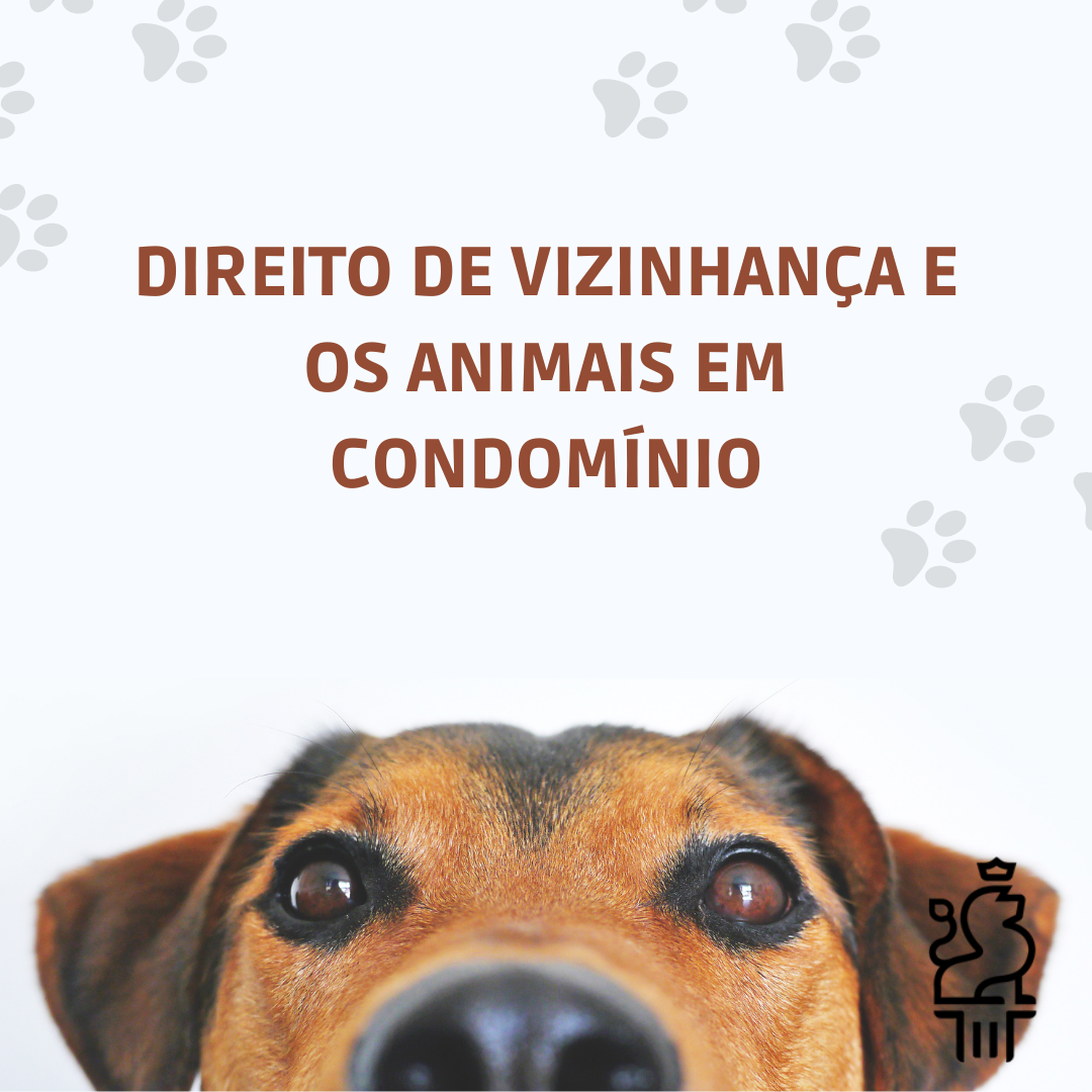 ANIMAIS EM CONDOMÍNIOS